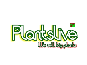 Plantslive logo